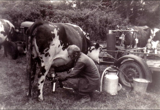 L’agriculture de 1945 aux années 1970, une révolution silencieuse.