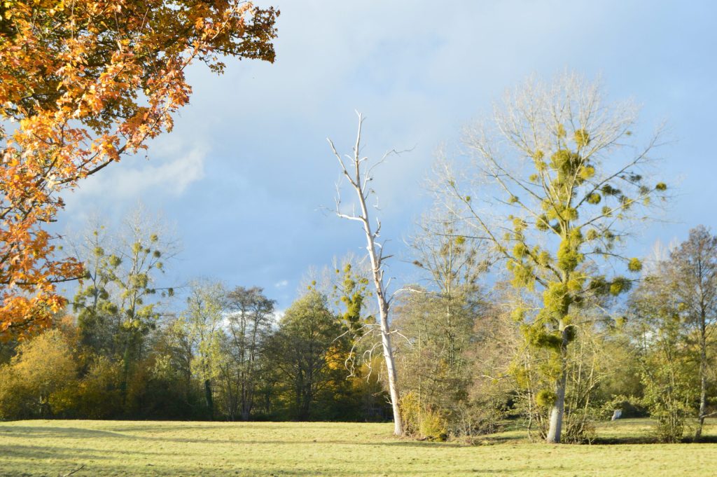 la vallée de l'Elle vers la Planche à Moon-sur-Elle (GL)