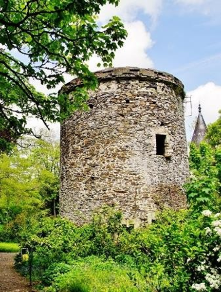 colombier du château de Moon-sur-Elle (GL)