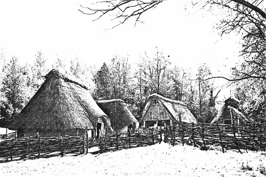 maisons gauloises