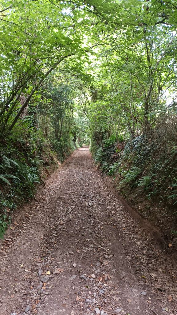 chemin de Cerisy, Moon-sur-Elle (GL)