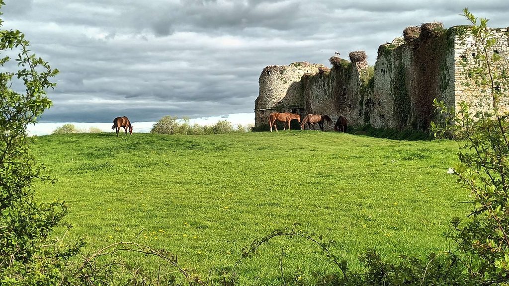 château de la Rivière, Saint-Fromond (GL)