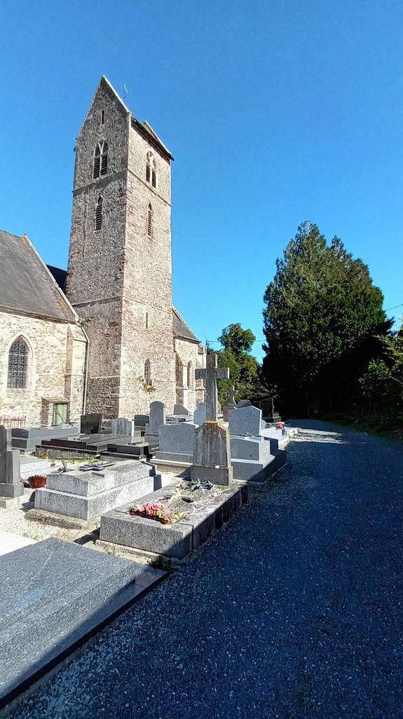 clocher de l'église de Moon-sur-Elle et l'if du cimetière (GL)