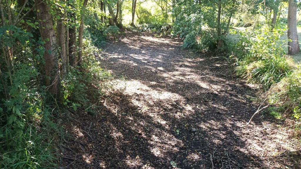 le chemin de Creully, Moon-sur-Elle (GL)