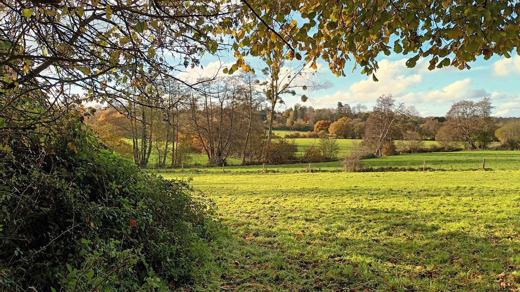 la vallée de l'Elle à Moon-sur-Elle (GL)