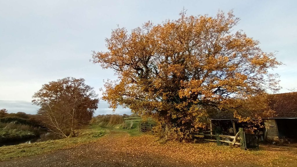 chemin vers le Rouge Douyt – Airel (GL)
