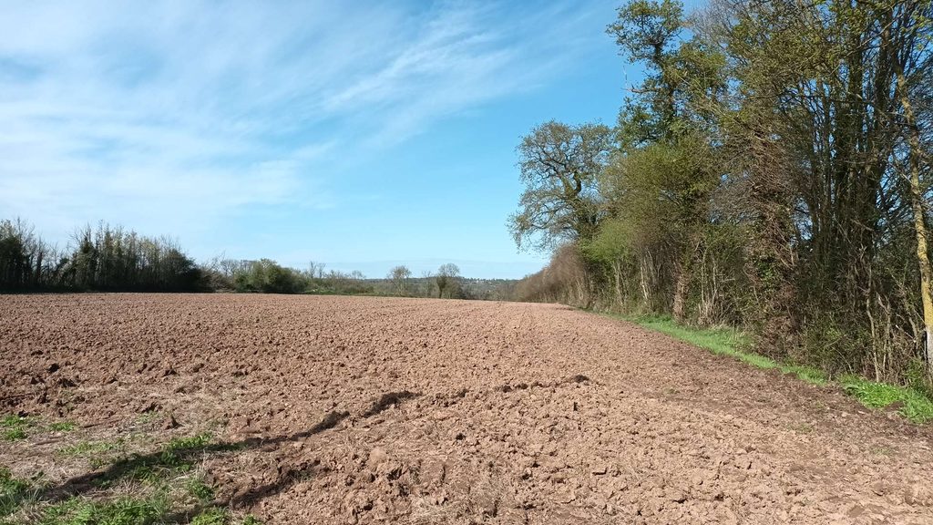 les terres labourables aux Foucheries, Moon-sur-elle (GL)