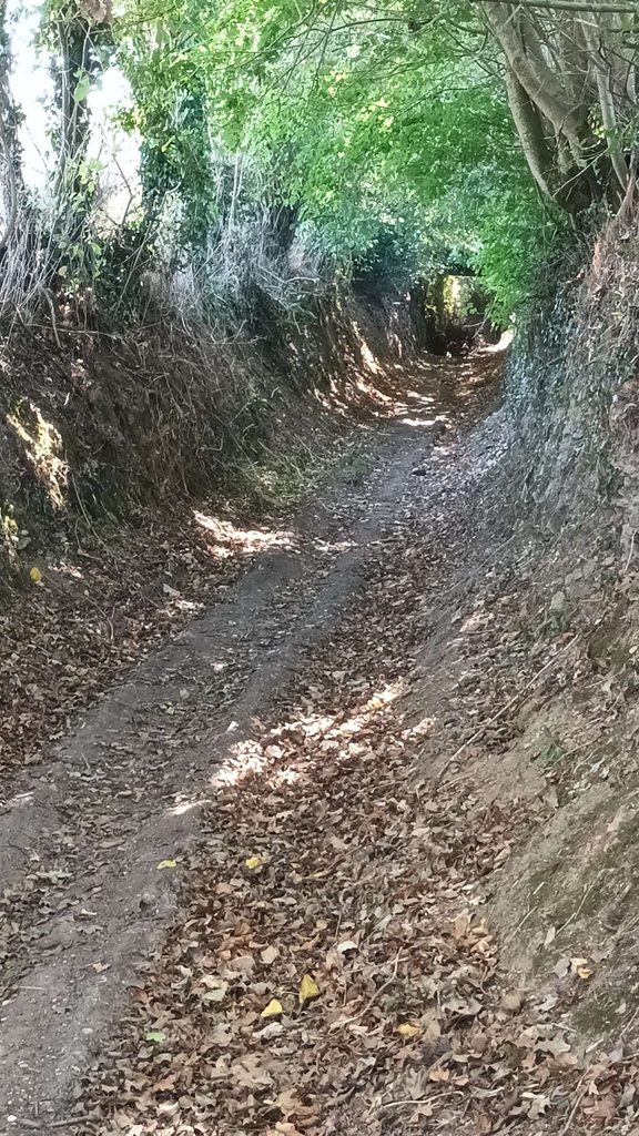 Chemin de la Duranderie à la Castellerie (GL)