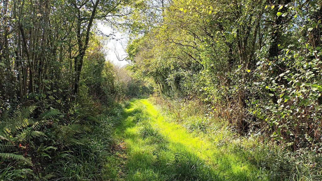 Chemin du Rouge Douyt (Douai) au chemin du Taillis (GL)