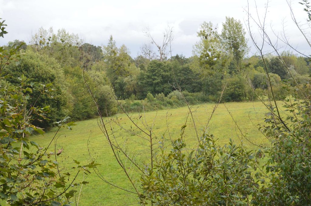 bocage à Moon-sur-Elle (GL)